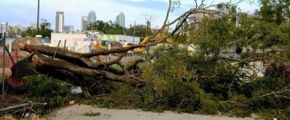 Hurricane Helene Damage