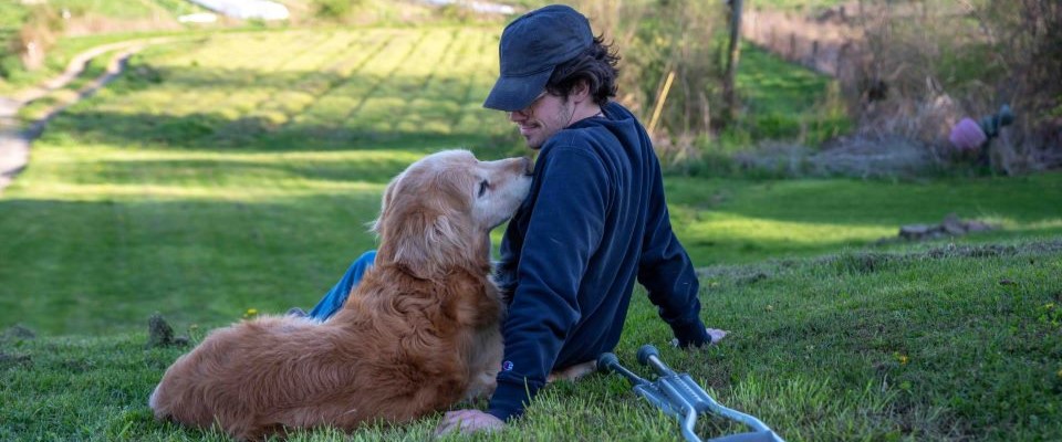 man sitting in grass next to his dog and crutches